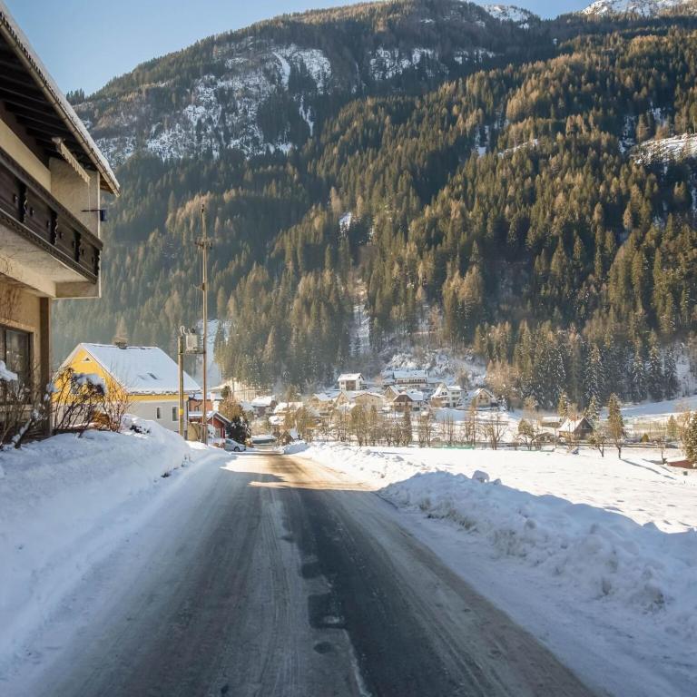 Apartment Feld am See near Ski Slopes - Apartment mit 2 Schlafzimmern - 67