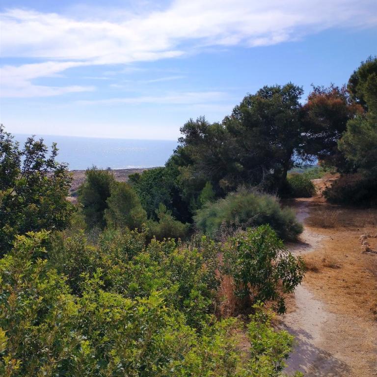 Spectacular Sea Views - Two-Bedroom House - 31