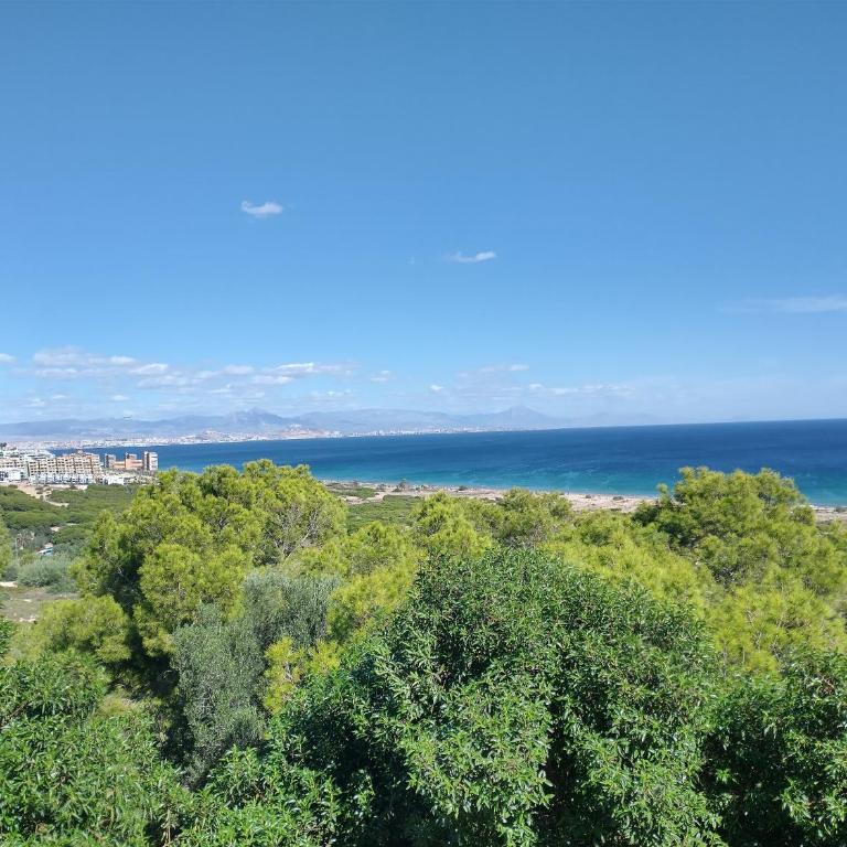 Spectacular Sea Views - Two-Bedroom House - 34