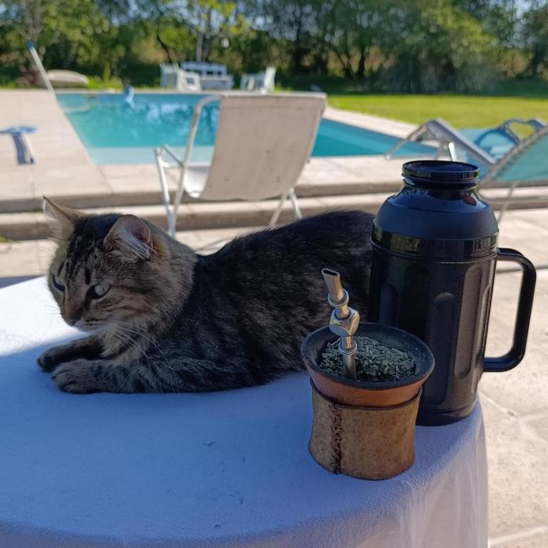 posada El descanso - Habitación Doble - 3