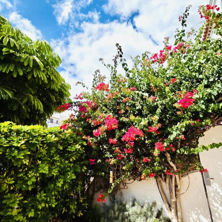 Beautiful 4 bedroom apartment with private jacuzzi - Apartamento de lujo de 4 dormitorios - 37