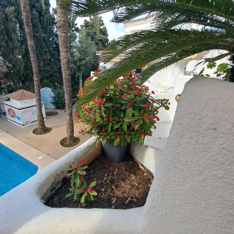 Acogedor apartamento en Denia - Apartamento - 37