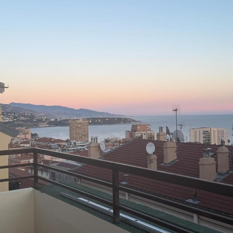 Monaco Monte-Carlo sea view! - Appartement 2 Chambres - 4