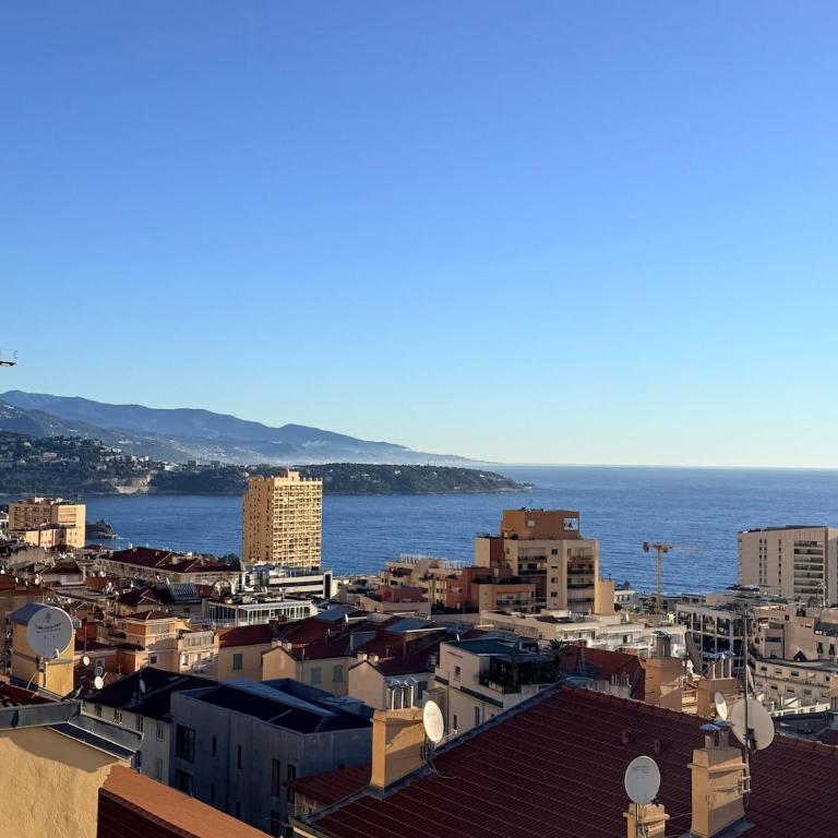 Monaco Monte-Carlo sea view! - Appartement 2 Chambres - 1