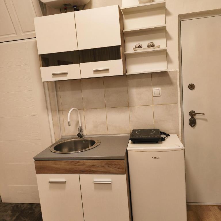 NS studio - Apartman sa 1 Spavaćom Sobom - 4