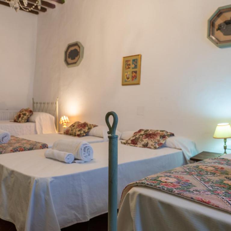 Cortijo el Vicario - Villa - 21