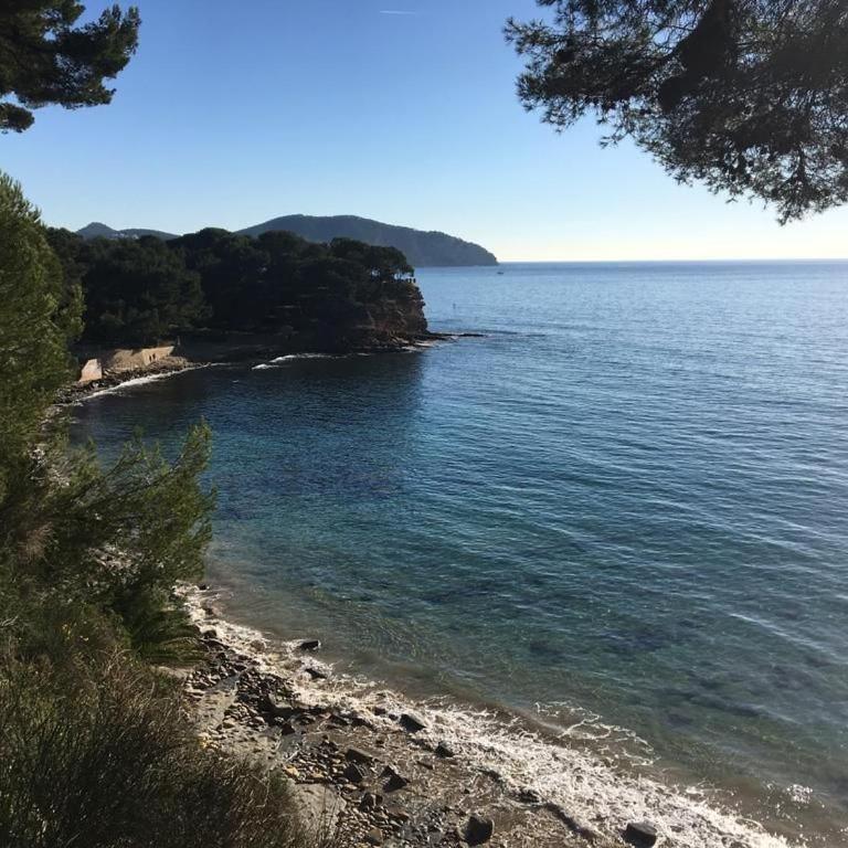 La Ciotat Appartement T2 bord de mer, piscine, parking - Superior Apartment mit 1 Schlafzimmer - 20