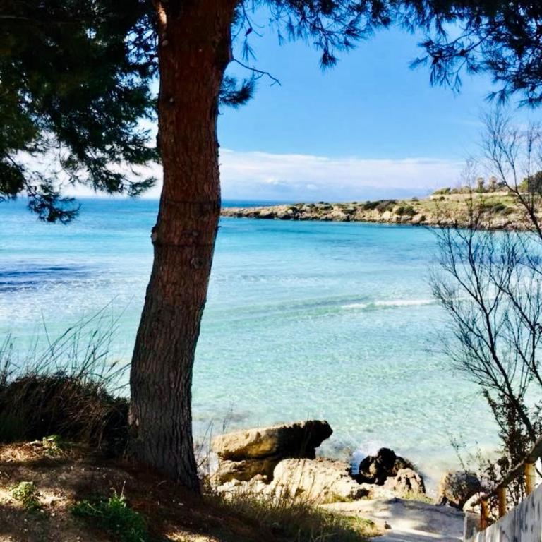 Casina Baglio - One-Bedroom Apartment - 31