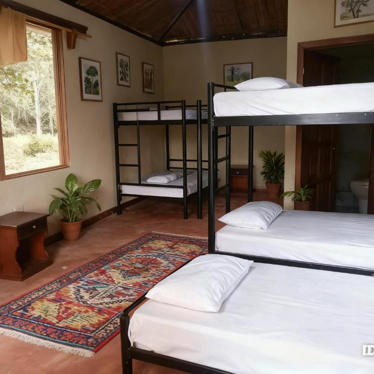 Ingaru Lodge - Double Room - 32
