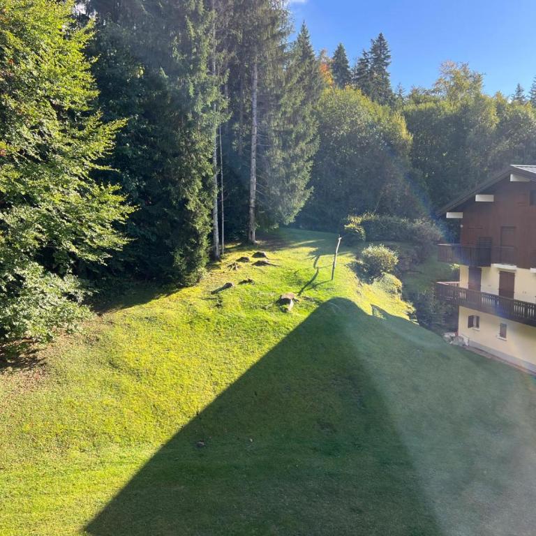 Escapade aux Carroz - Three-Bedroom Apartment - 17