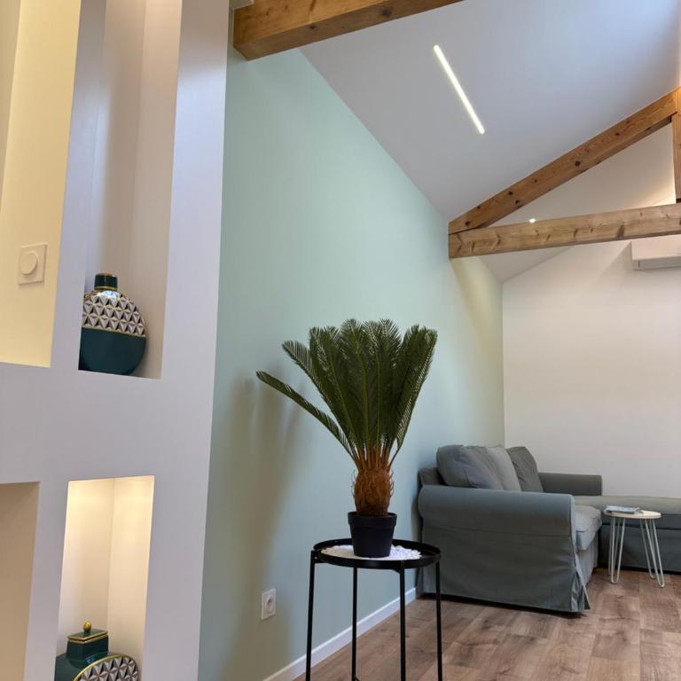 Magnifique - Appartement 1 Chambre - 11