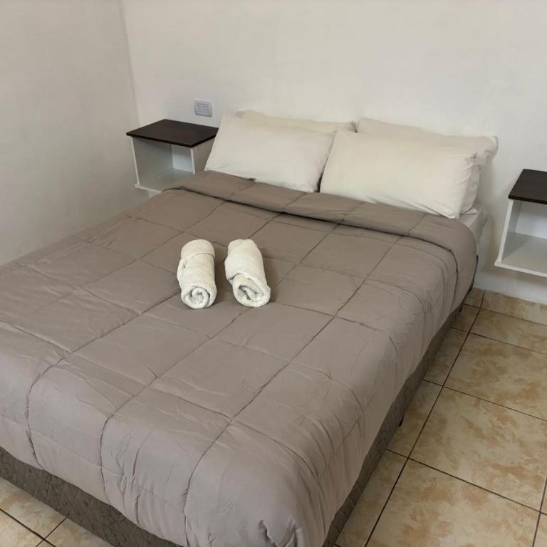 Laguna de los Cisnes - Apartamento - 9