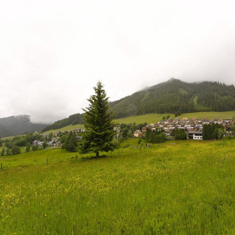Chalet in Hohentauern am Skilift - Chalet 3 Chambres - 34