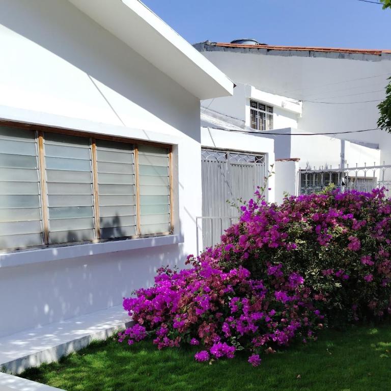 Aptos y casas Amobladas Arimatea - Apartamento de 1 dormitorio - 1