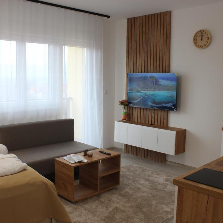 Apartmani Fontana Banja Koviljaca - Deluxe King Studio - 3