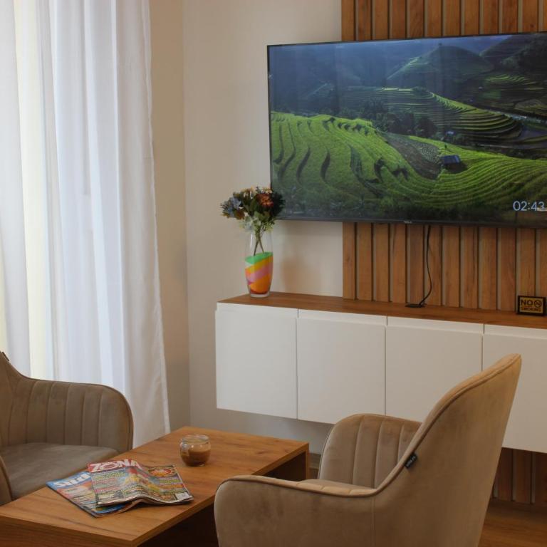 Apartmani Fontana Banja Koviljaca - Deluxe King Studio - 2