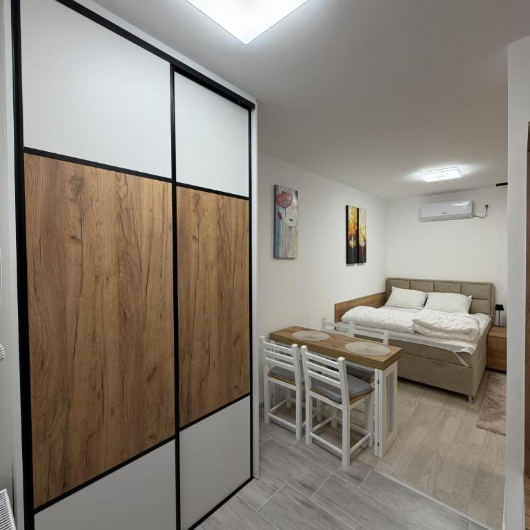 Apartmani Fontana Banja Koviljaca - Deluxe King Studio - 4