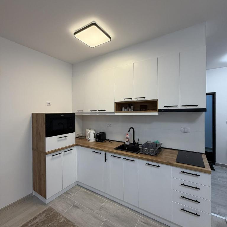 Apartmani Fontana Banja Koviljaca - Deluxe King Studio - 5