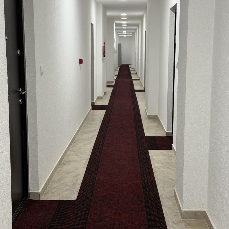 Apartmani Fontana Banja Koviljaca - One-Bedroom Apartment - 14