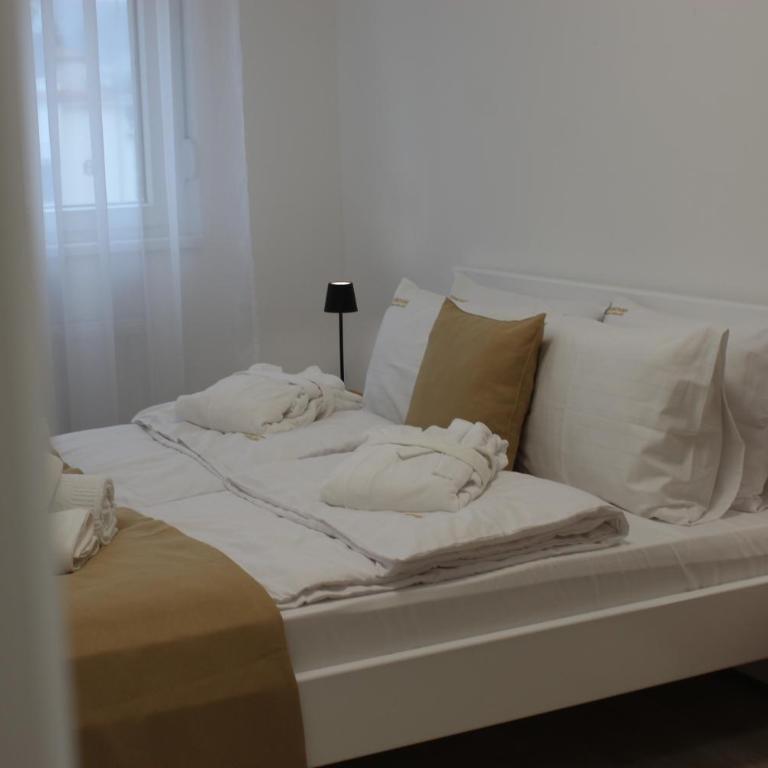Apartmani Fontana Banja Koviljaca - One-Bedroom Apartment - 5