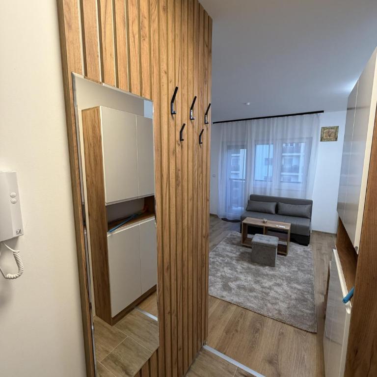 Apartmani Fontana Banja Koviljaca - Deluxe King Studio - 10