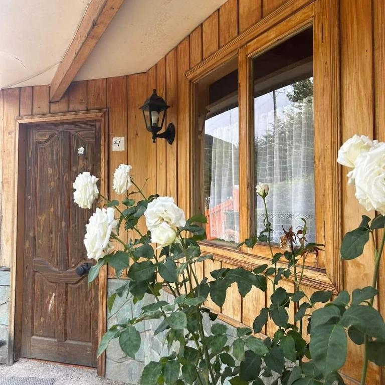 Apart Hotel Queitao Patagonia - Two-Bedroom Apartment - 7