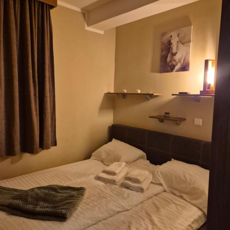 Kraljevi Cardaci- Alpine Wood Apartment - One-Bedroom Apartment - 12