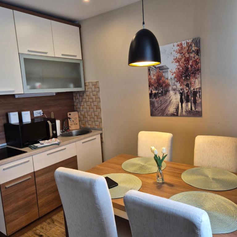 Kraljevi Cardaci- Alpine Wood Apartment - One-Bedroom Apartment - 14