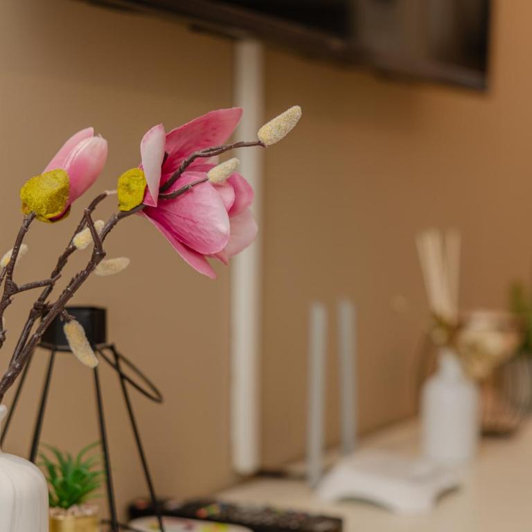 Ralux apartman Tivat - Apartman sa Pogledom na More - 9