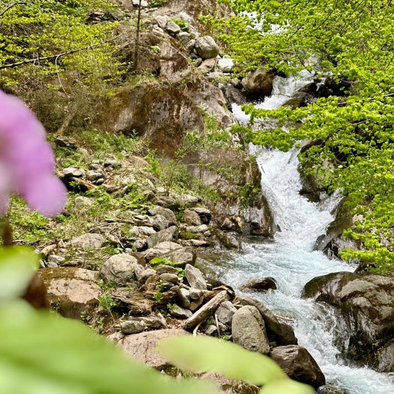 Berghaus Wanderlust - Apartment mit 3 Schlafzimmern und Balkon - 32