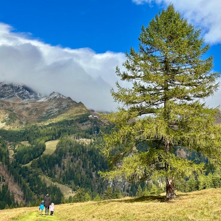 Berghaus Wanderlust - Apartment mit 3 Schlafzimmern und Balkon - 43