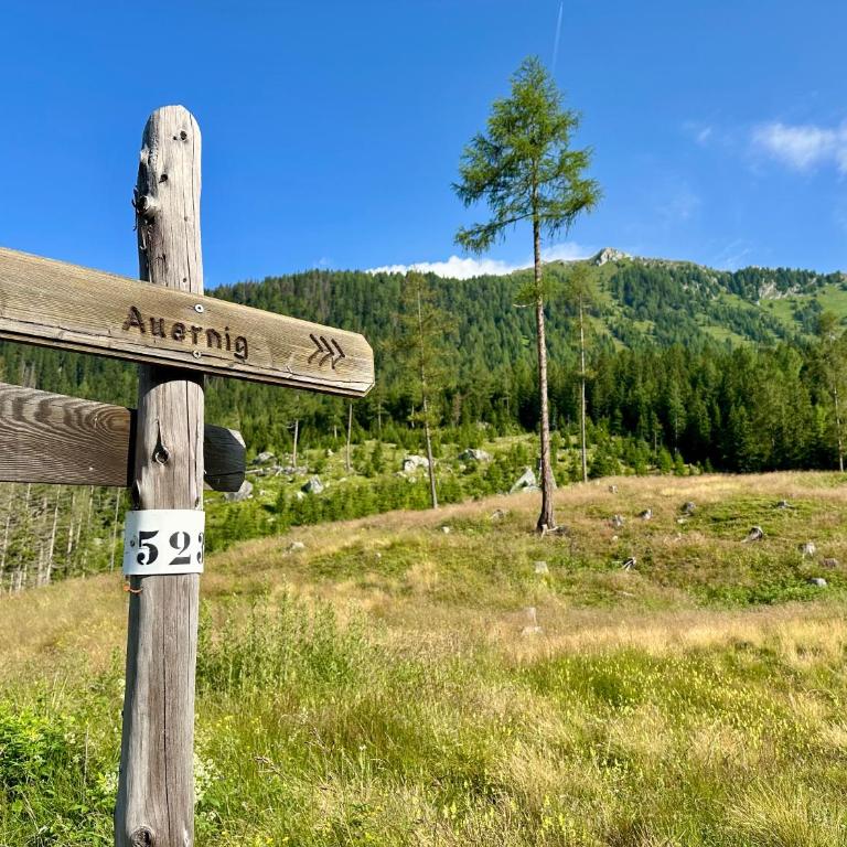 Berghaus Wanderlust - Apartment mit 3 Schlafzimmern und Balkon - 44