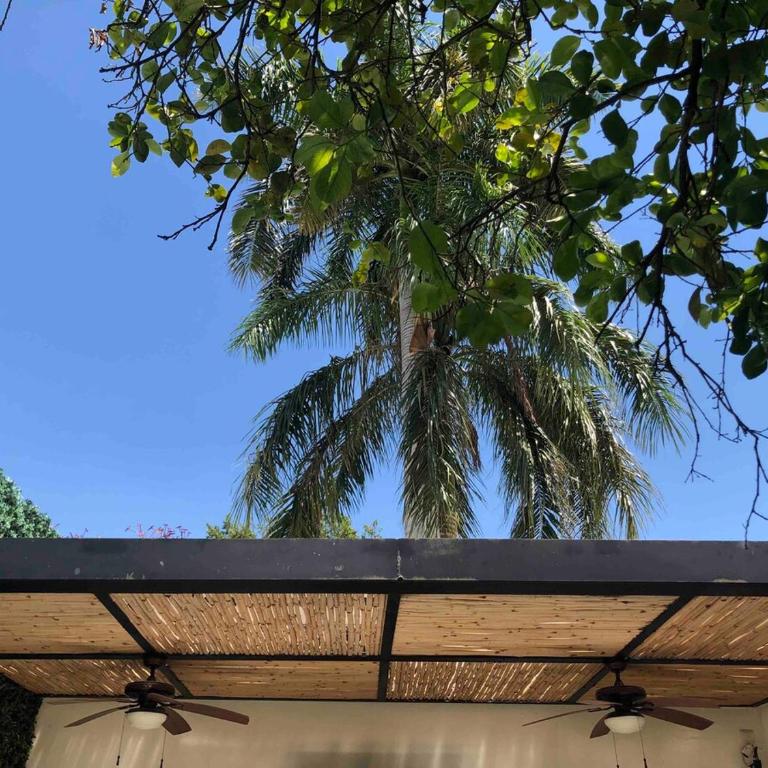 Casa Colibri - 1 block from Paseo de Montejo, Centro - Two-Bedroom House - 29