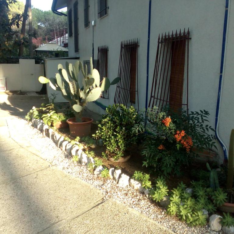 Villa Trifoglio - Appartamento con Vista Giardino - 20