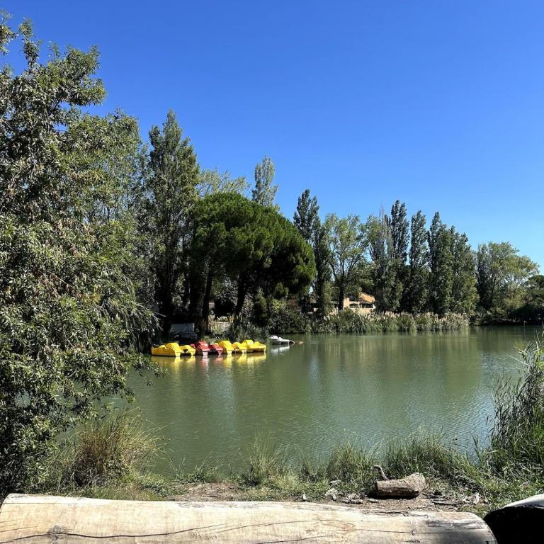Petit cocon sur Arles - Appartement 1 Chambre - 8