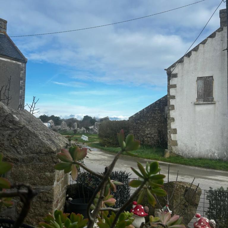 Vivez la magie de Carnac au coeur des alignements - Deluxe Room - 10