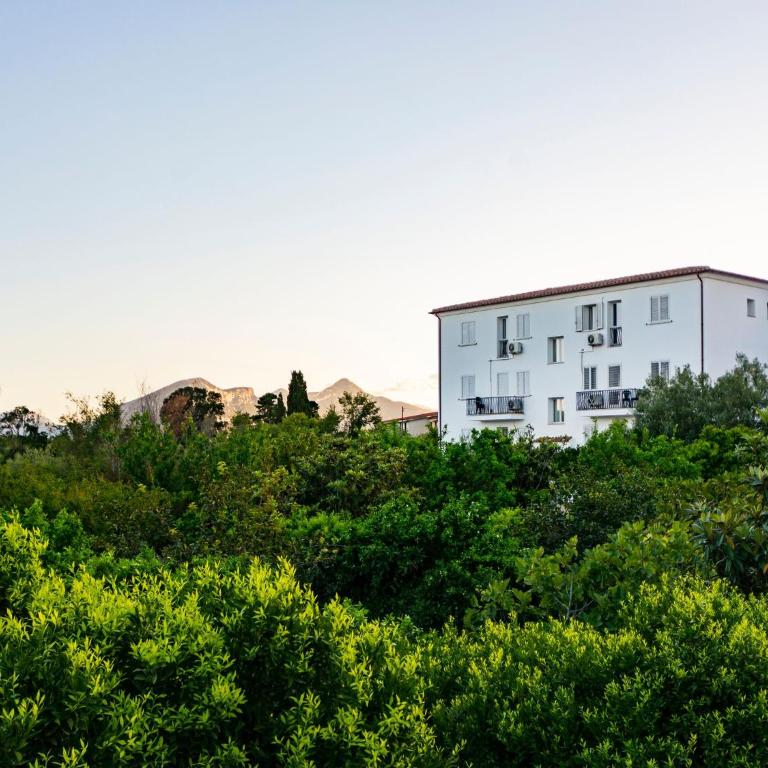 Bright accommodation in Orosei - Apartment - 16