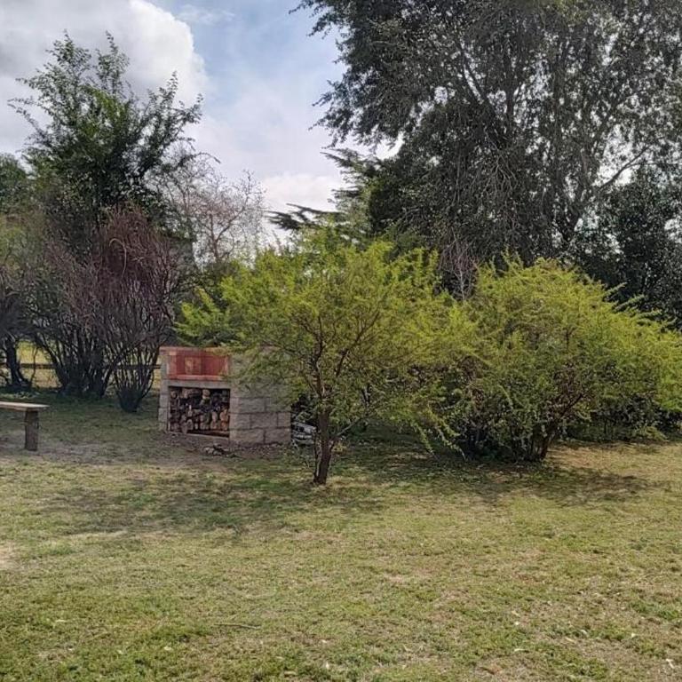 Kima III - Apartamento de 2 dormitorios - 18