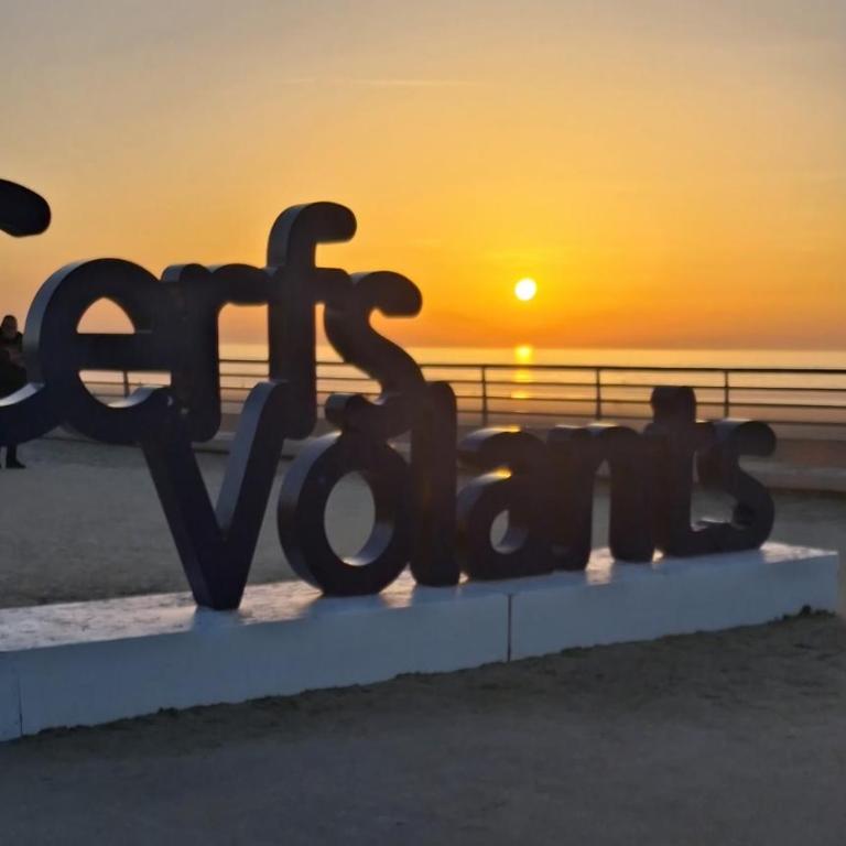 Appartement coquet proche plage - Appartamento con 1 Camera da Letto - 4