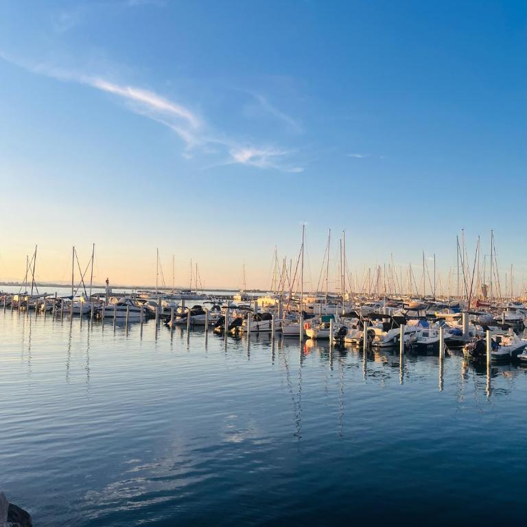Ecrin de douceur à Port-Camargue piscine et parking - Appartamento - Piano Terra - 23