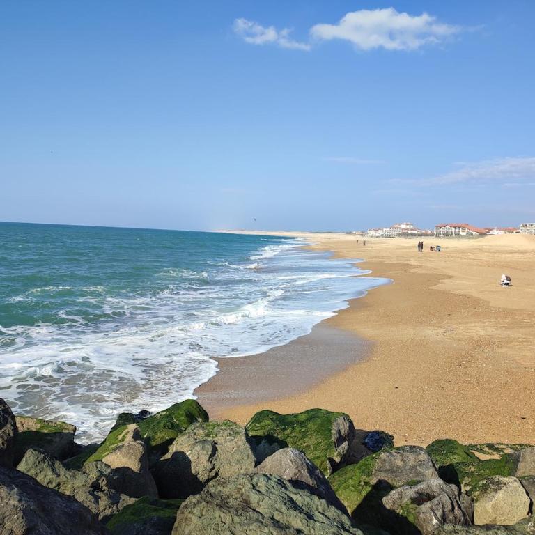 Appartement bord de mer avec vue port - Two-Bedroom Apartment - 18