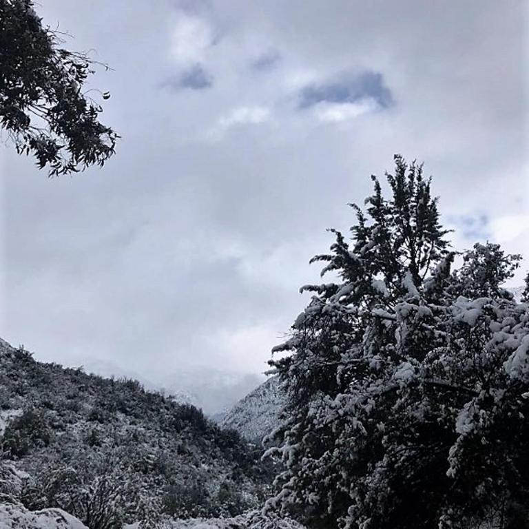 Refugios de la Montaña - Deluxe Bungalow - 28