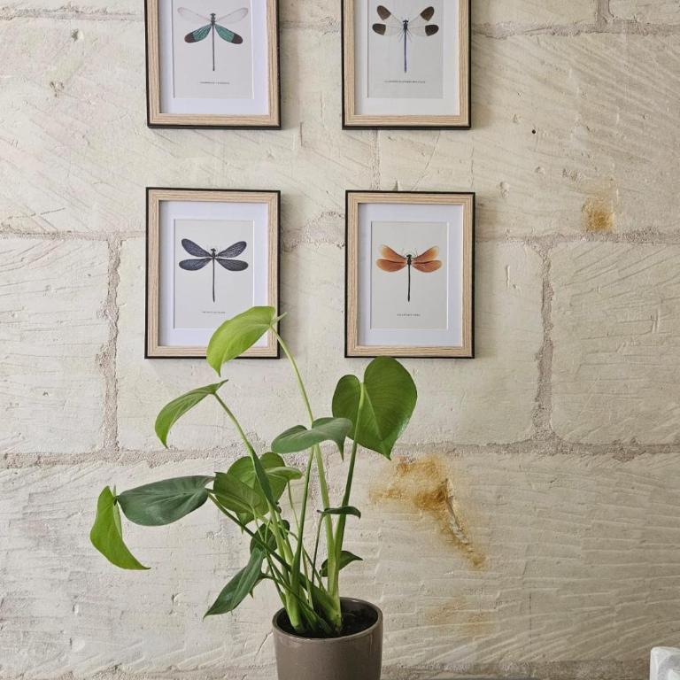 La Petite Mésange & option SPA - Apartamento de 2 dormitorios - 32