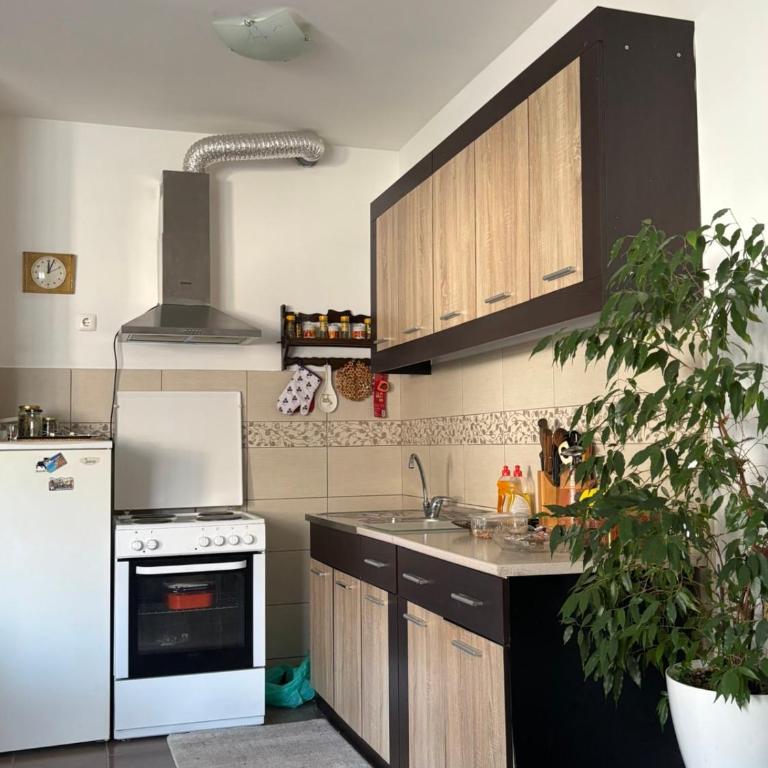 Lana - Apartman sa 1 Spavaćom Sobom - 8
