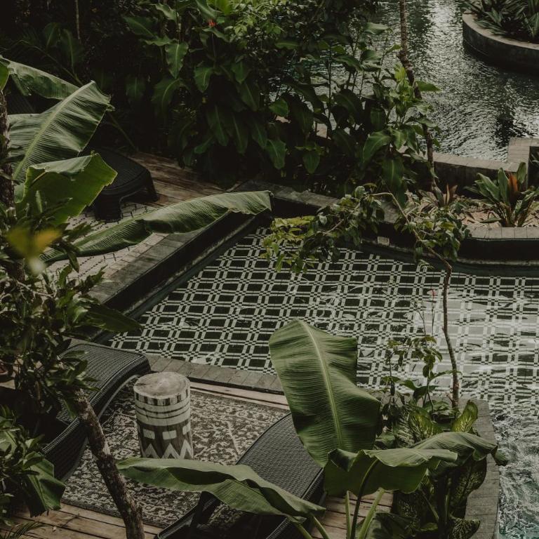Private Jungle 1BR Retreat & Fast Wi-Fi - Apartamento de 1 dormitorio - 6