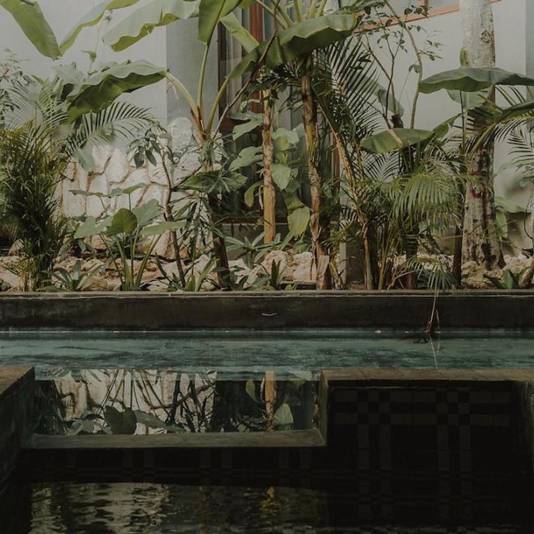 Private Jungle 1BR Retreat & Fast Wi-Fi - Apartamento de 1 dormitorio - 11