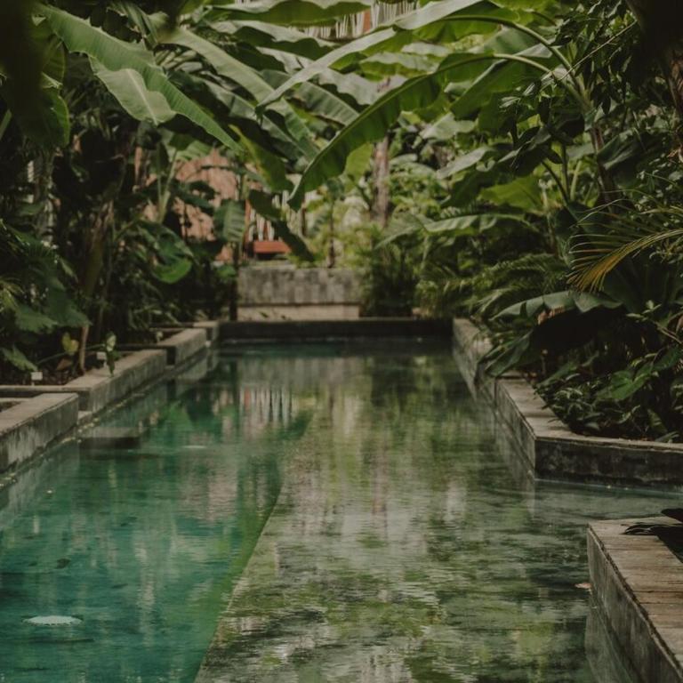 Private Jungle 1BR Retreat & Fast Wi-Fi - Apartamento de 1 dormitorio - 16