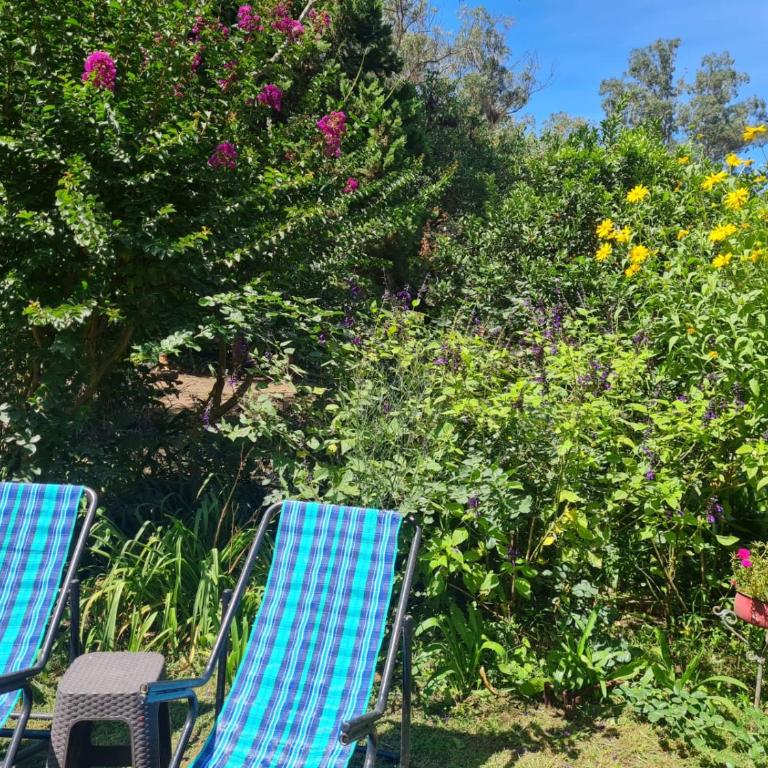 Casa de campo Miramar Norte - Two-Bedroom House - 20