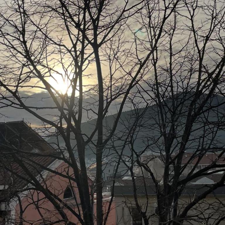 Revea - One-Bedroom Apartment - 2