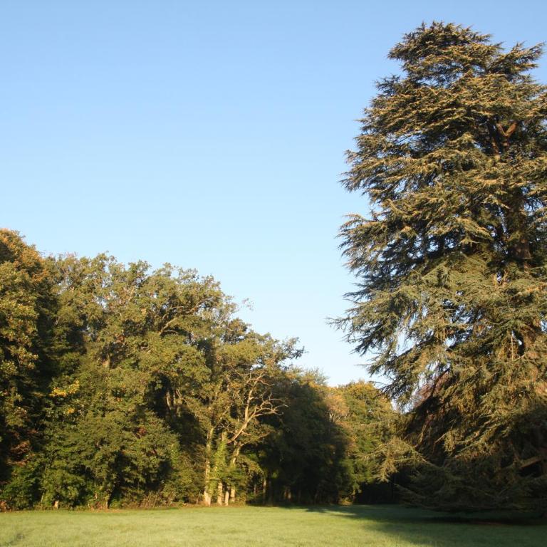 Aux grilles du Château de Saint-Aignan, à 2km de Beauval, les maisons de Sidonie et Léonard - La Maison de Sidonie - 14